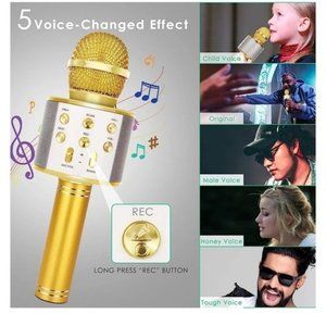 🎊💕HOST PICK💕🎊WIRELESS BLUETOOTH KARAOKE MIC & HI-FI SPEAKER-NEW-GOLD.